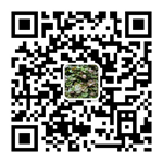 移動(dòng)端二維碼